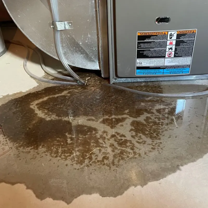 Pipe Burst and Leak Restoration in Cottonwood Shores, TX