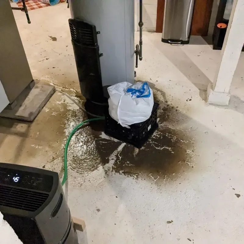 Sewage Backup Cleanup Service in Cottonwood Shores, TX